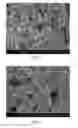 Fig. 02 - Molecular Sieve Composition and Method of Making and Using the Same