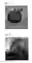 Fig. 03 - Method of producing para-substituted aromatic hydrocarbon