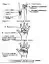 Fig. 06 - Rhythmic percussion exercise garment with electronic interface and method of conducting an exercise program