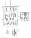 Fig. 13 - DETERMINATION OF PHYSIOLOGICAL PARAMETERS USING REPEATED BLOOD PRESSURE MEASUREMENTS