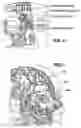 Fig. 06 - Forehead sensor placement
