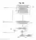 Fig. 07 - System and method for navigating an ultrasound catheter to image a beating heart