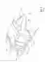 Fig. 02 - Cervical Spine Immobilization Device