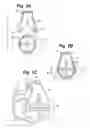Fig. 04 - Method and apparatus for syringe injection of fluids