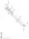 Fig. 05 - Antimicrobial coating for dermally invasive devices