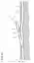 Fig. 06 - Antimicrobial coating for dermally invasive devices