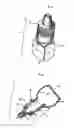 Fig. 03 - PHARMACEUTICAL DELIVERY DEVICE