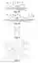 Fig. 05 - SYSTEMS AND METHODS FOR CREATING AND USING SUCTION BLISTERS OR OTHER POOLED REGIONS OF FLUID WITHIN THE SKIN
