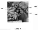 Fig. 02 - Laser Safety Goggles for Animals