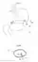 Fig. 10 - Apparatus for treating obesity