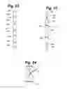 Fig. 23 - Metal vascular aperture closure device