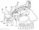 Fig. 01 - SKULL-MOUNTED ELECTRICAL STIMULATION SYSTEM AND METHOD FOR TREATING PATIENTS