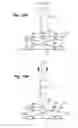 Fig. 20 - Self adjusting venous equalizing graft and endothelial lining therefor
