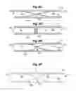 Fig. 12 - Endothelial scaffold graft and method therefor