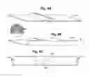 Fig. 14 - Endothelial scaffold graft and method therefor