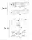Fig. 18 - Endothelial scaffold graft and method therefor