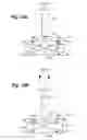 Fig. 20 - Endothelial scaffold graft and method therefor