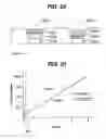 Fig. 11 - Rapamycin reservoir eluting stent