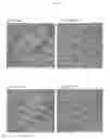 Fig. 14 - Compounds and method for coating surfaces in a hemocompatible manner