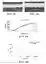 Fig. 05 - PROSTHETIC FABRIC STRUCTURE