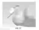 Fig. 20 - PARTIAL JOINT RESURFACING IMPLANT, INSTRUMENTATION AND METHOD
