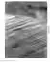 Fig. 05 - Biomedical implantable material and methods of producing the same