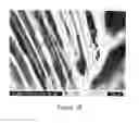 Fig. 06 - Biomedical implantable material and methods of producing the same