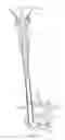 Fig. 63 - Inter-body implant