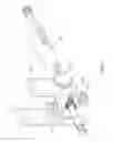 Fig. 66 - Inter-body implant