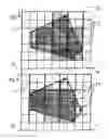 Fig. 06 - Process for the production of a three-dimensional object with resolution improvement by pixel-shift