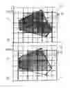 Fig. 07 - Process for the production of a three-dimensional object with resolution improvement by pixel-shift