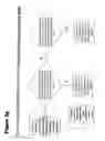 Fig. 16 - Correlation Analysis of Biological Systems