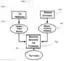 Fig. 01 - Tar estimation