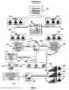 Fig. 05 - VERTICALIZED AUTOMATED CUSTOMER ACQUISITION