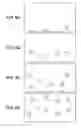 Fig. 05 - CONFIGURABLE PARTICLE SYSTEM REPRESENTATION FOR BIOFEEDBACK APPLICATIONS