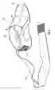 Fig. 02 - ATHLETIC SHOE