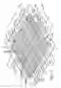 Fig. 02 - Grating system with enhanced see-through characteristics