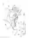 Fig. 03 - Lawn mower pivotable mulching flap