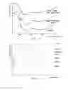 Fig. 05 - METHOD OF MANUFACTURING A COMPOSITE BASED ON COMPLEXES OF CONTROLLED STABILITY