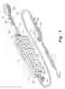 Fig. 03 - Variable-rate spring marine docking cable