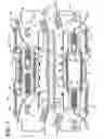Fig. 02 - Super charged engine