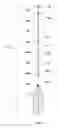 Fig. 06 - Convertible Trekking Paddle