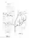 Fig. 02 - Carrier for a box