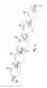 Fig. 07 - Device and method for preparing mandrels, device for collecting the wound mandrels and device and method for handling the mandrels