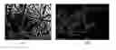Fig. 01 - Laser protection polymeric materials