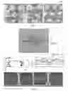 Fig. 03 - ELECTRONIC COMPONENT COMPRISING A CONVERTIBLE STRUCTURE