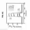 Fig. 08 - Method of manufacturing vertically aligned nanotubes, method of manufacturing sensor structure, and sensor element manufactured thereby