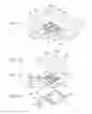 Fig. 02 - LIGHT EMITTING DEVICE