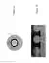 Fig. 02 - Multiple orientation nanowires with gate stack stressors