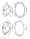 Fig. 02 - Container having a rim or other feature encapsulated by or formed from injection-molded material